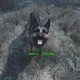 Image for article titled Fallout 4's User Interface Is Truly Terrible